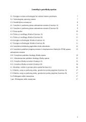 Imonės ekonomika: ofsetinė ir fleksografinė spauda 3 puslapis