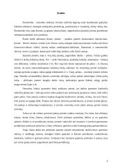 Imonės ekonomika: ofsetinė ir fleksografinė spauda 4 puslapis