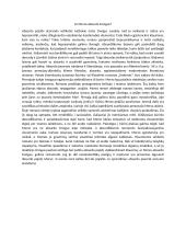 Ar Merso absurdo žmogus? 