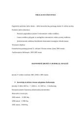 Įmonės ekonominės veiklos atitikimo šiuolaikinei ekonomikos strategijai analizė 3 puslapis