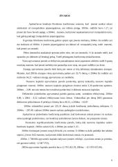 Įmonės finansinė analizė: AB "Gubernija" 5 puslapis