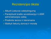 Ginkluota rezistencija 8 puslapis