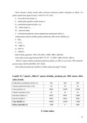 Įmonės finansinė analizė: statybos remonto darbai "Rileris" 12 puslapis