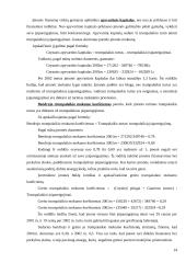 Įmonės finansinė analizė: statybos remonto darbai "Rileris" 14 puslapis