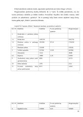 Įmonės finansinė analizė: statybos remonto darbai "Rileris" 16 puslapis