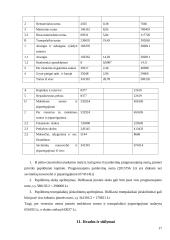 Įmonės finansinė analizė: statybos remonto darbai "Rileris" 17 puslapis