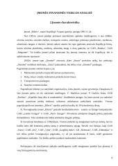 Įmonės finansinė analizė: statybos remonto darbai "Rileris" 4 puslapis