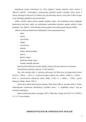 Įmonės finansinė analizė: statybos remonto darbai "Rileris" 5 puslapis