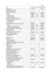 Įmonės finansinė analizė: UAB "Paletti" 12 puslapis