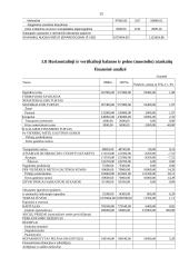 Įmonės finansinė analizė: UAB "Paletti" 13 puslapis