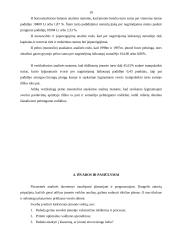 Įmonės finansinė analizė: UAB "Paletti" 17 puslapis