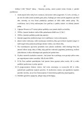 Įmonės finansinė analizė: UAB "Paletti" 18 puslapis