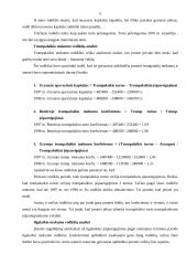 Įmonės finansinė analizė: UAB "Paletti" 3 puslapis