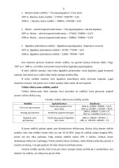 Įmonės finansinė analizė: UAB "Paletti" 4 puslapis