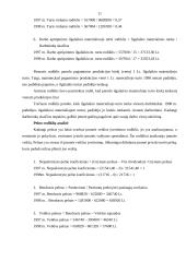 Įmonės finansinė analizė: UAB "Paletti" 9 puslapis