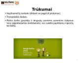 Nepilnamečių darbas 13 puslapis