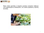 Nepilnamečių darbas 14 puslapis