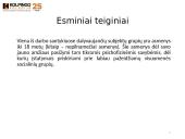 Nepilnamečių darbas 6 puslapis