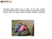 Nepilnamečių darbas 7 puslapis