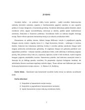 Humanistinės teorijos taikymas socialiniame darbe 2 puslapis