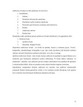 Įmonės finansinės veiklos auditas: UAB "G. Steponkaus kontora" 12 puslapis