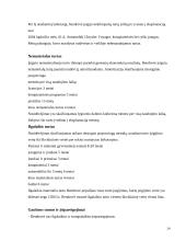 Įmonės finansinės veiklos auditas: UAB "G. Steponkaus kontora" 15 puslapis