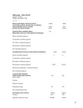 Įmonės finansinės veiklos auditas: UAB "G. Steponkaus kontora" 20 puslapis