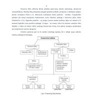 Įmonės išorinės aplinkos analizė: grožio salonas 4 puslapis