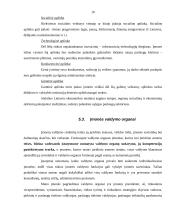 Įmonės išorinės aplinkos analizė: grožio salonas 8 puslapis