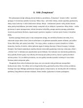 Įmonės konkurencingumo planas: prekyba sportine apranga ir inventoriumi UAB "Čempionas" 6 puslapis