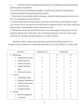 Įmonės konkurencingumo planas: prekyba sportine apranga ir inventoriumi UAB "Čempionas" 9 puslapis