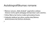 Antanas Škėma „Balta dorbulė“ pristatymas 11 puslapis