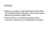 Antanas Škėma „Balta dorbulė“ pristatymas 5 puslapis