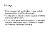 Antanas Škėma „Balta dorbulė“ pristatymas 6 puslapis