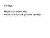 Antanas Škėma „Balta dorbulė“ pristatymas 7 puslapis