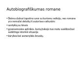 Antanas Škėma „Balta dorbulė“ pristatymas 9 puslapis