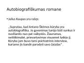 Antanas Škėma „Balta dorbulė“ pristatymas 10 puslapis