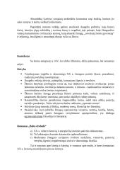 Romanas „Balta drobulė“ 3 puslapis