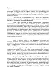 Romanas „Balta drobulė“ 4 puslapis