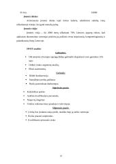 Įmonės marketingas: jogurto gamyba UAB "Šypsniukas" 13 puslapis