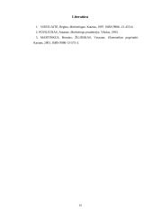 Įmonės marketingas: jogurto gamyba UAB "Šypsniukas" 15 puslapis