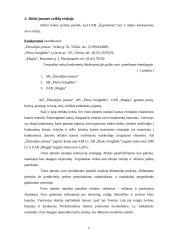 Įmonės marketingas: jogurto gamyba UAB "Šypsniukas" 5 puslapis