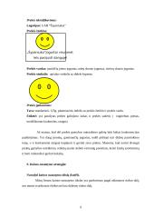 Įmonės marketingas: jogurto gamyba UAB "Šypsniukas" 9 puslapis