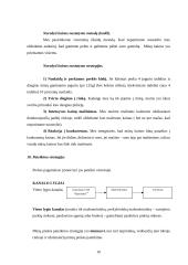 Įmonės marketingas: jogurto gamyba UAB "Šypsniukas" 10 puslapis