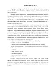 Įmonės mokumo (likvidumo) analizė 3 puslapis