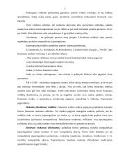 Įmonės mokumo (likvidumo) analizė 5 puslapis