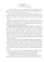 Įmonės mokumo (likvidumo) analizė 6 puslapis