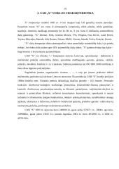 Įmonės mokumo (likvidumo) analizė 10 puslapis