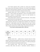 Įmonės pardavimų apimties prognozavimas: UAB "Telsoda" 3 puslapis