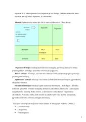 Įmonės plėtros strategijos vertinimas: A. Dambrausko pieno ūkis 5 puslapis